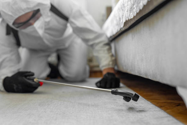 Professional Cockroach Control technician working in Charlevoix County County, MI